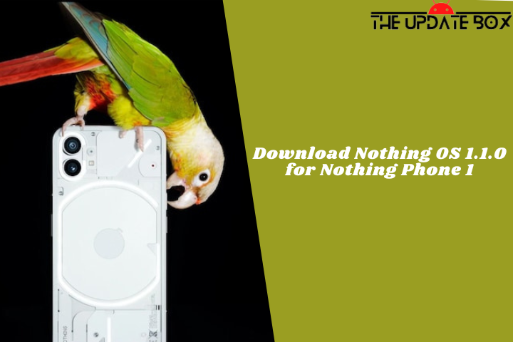 Download Nothing OS 1.1.0 for Nothing Phone 1